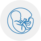 05_Icon Mutterleib Hintergrund