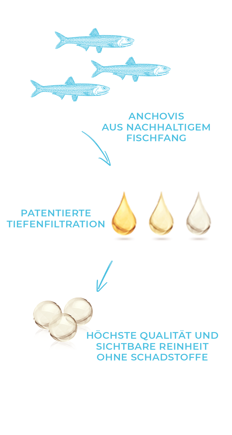 Tiefenfiltration Prozess von Anchovis, über gereinigtes Fischöl zu schadstofffreien Omega 3 Kapseln