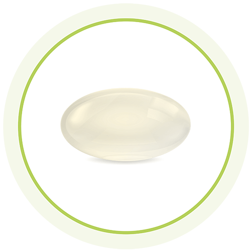 White Omega Vegan - Das EPA-reiche & natürliche Algenöl in der veganen Mini-Kapsel