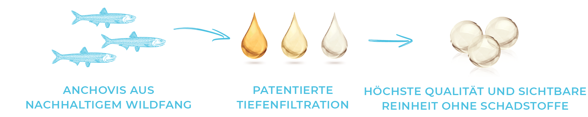 Tiefenfiltration Prozess von Anchovis, über gereinigtes Fischöl zu schadstofffreien Omega 3 Kapseln
