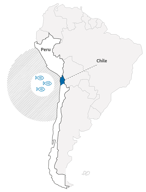 white-omega-website-tabellengrafik-neu-08187-chile-original